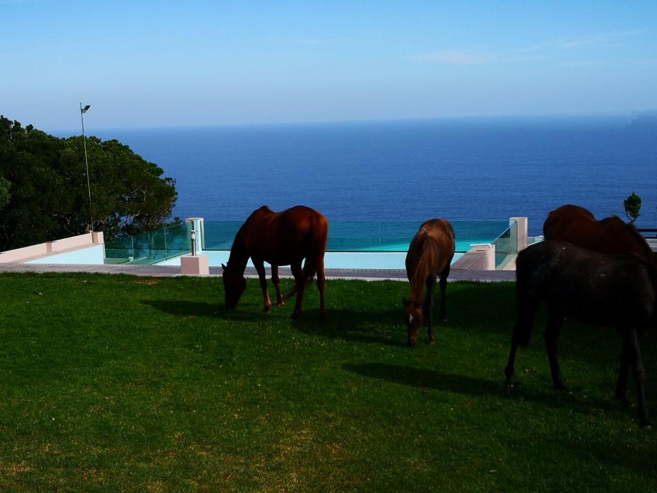Tsitsikamma On Sea Resort Witelsbos Luaran gambar