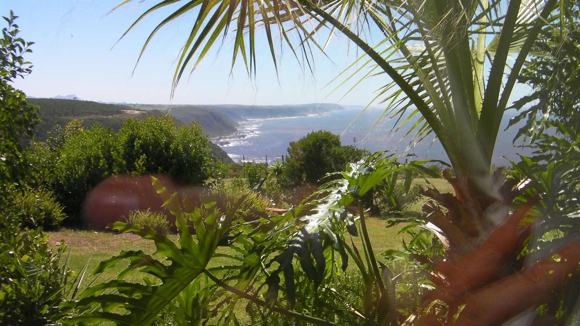 Tsitsikamma On Sea Resort Witelsbos Luaran gambar